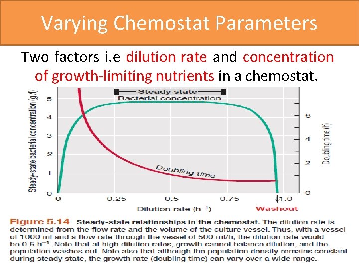 Varying Chemostat Parameters Two factors i. e dilution rate and concentration of growth-limiting nutrients