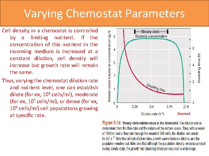 Varying Chemostat Parameters Cell density in a chemostat is controlled by a limiting nutrient.