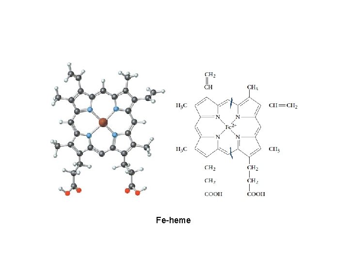 Fe-heme 