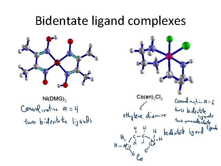 Bidentate ligand complexes Ni(DMG)2 Co(en)2 Cl 2 