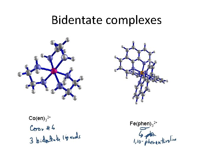 Bidentate complexes Co(en)32+ Fe(phen)32+ 