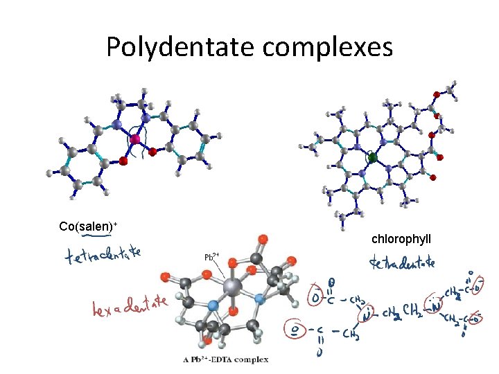 Polydentate complexes Co(salen)+ chlorophyll 
