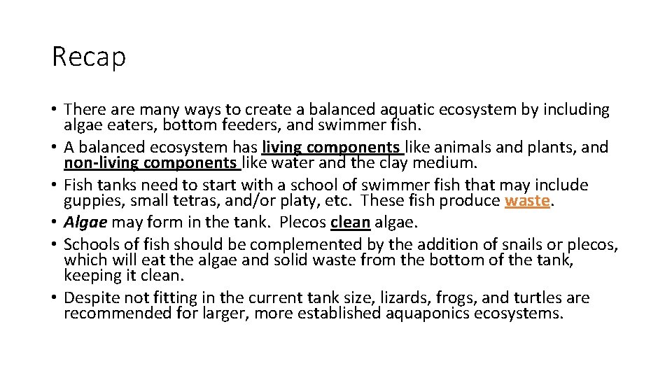 Recap • There are many ways to create a balanced aquatic ecosystem by including Recap • There are many ways to create a balanced aquatic ecosystem by including