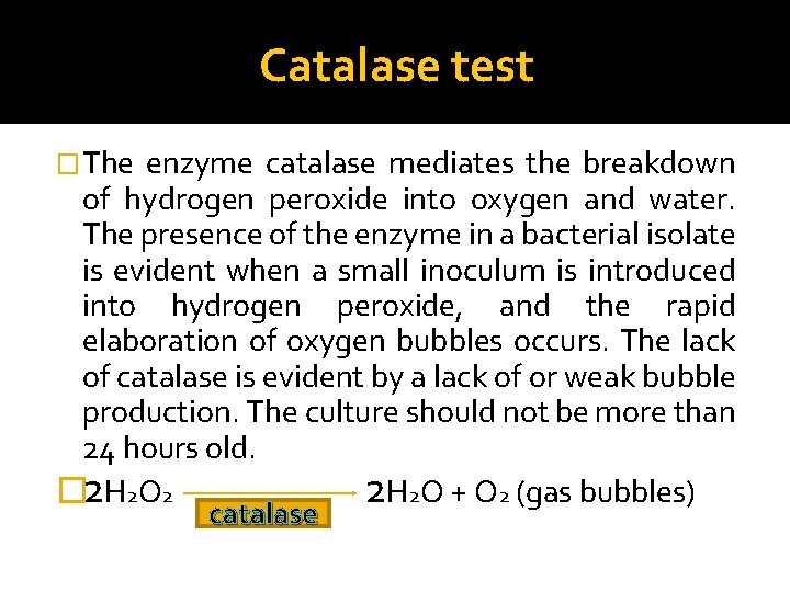 Catalase test �The enzyme catalase mediates the breakdown of hydrogen peroxide into oxygen and