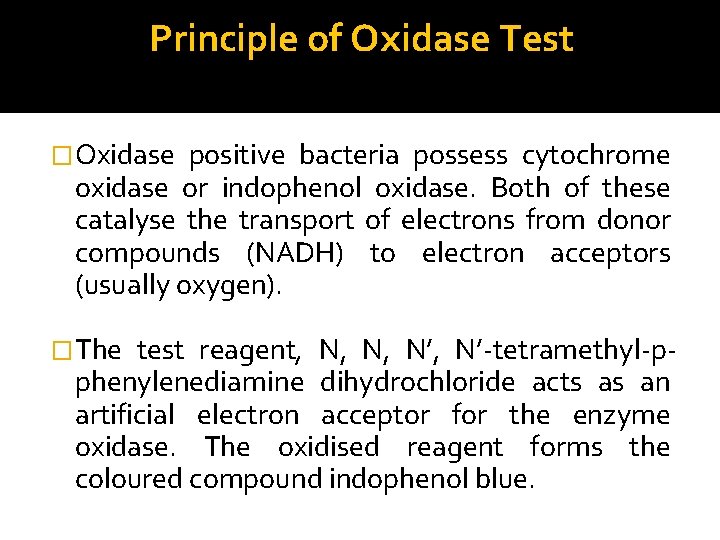 Principle of Oxidase Test �Oxidase positive bacteria possess cytochrome oxidase or indophenol oxidase. Both