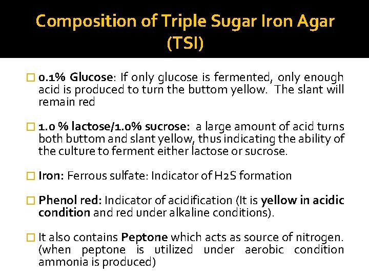 Composition of Triple Sugar Iron Agar (TSI) � 0. 1% Glucose: If only glucose