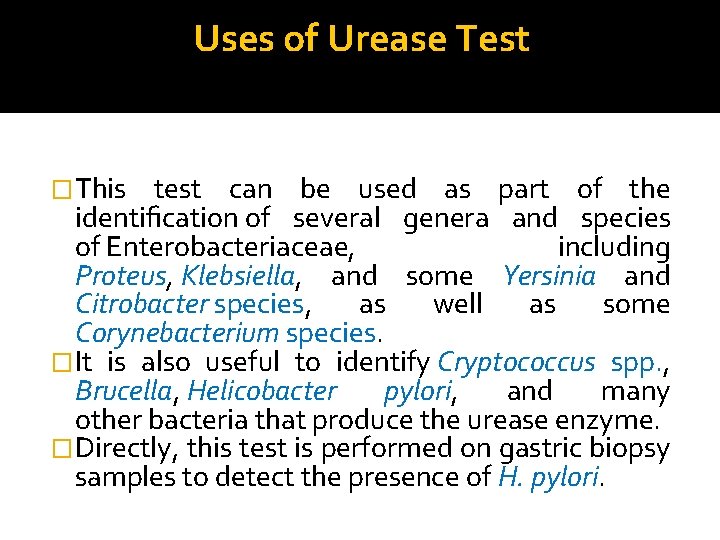 Uses of Urease Test �This test can be used as part of the identiﬁcation