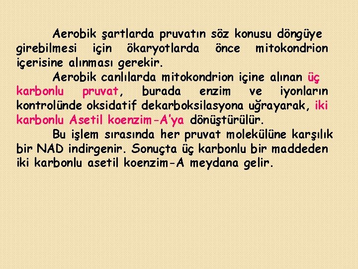 Aerobik şartlarda pruvatın söz konusu döngüye girebilmesi için ökaryotlarda önce mitokondrion içerisine alınması gerekir.