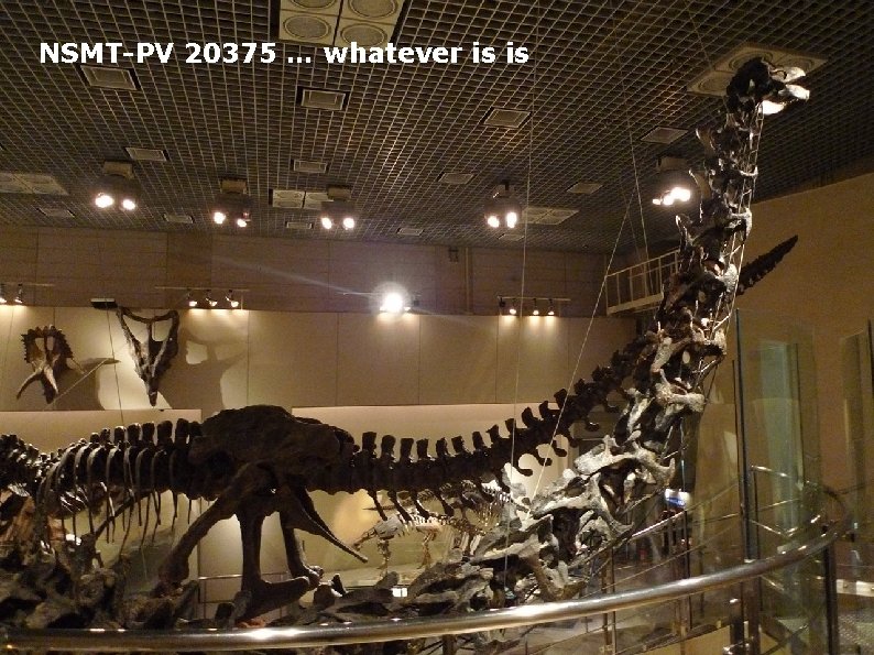 NSMT-PV 20375 … whatever is is 