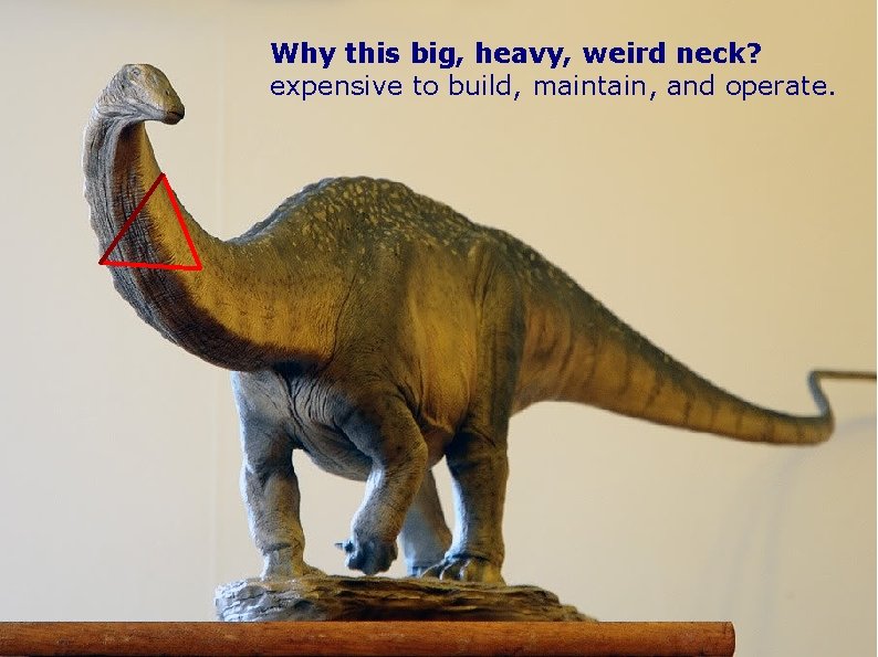 Why this big, heavy, weird neck? expensive to build, maintain, and operate. 