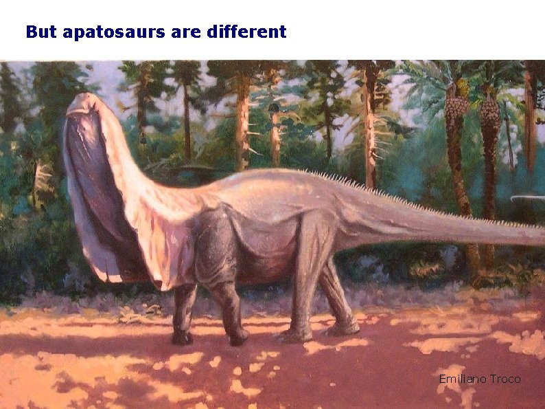 But apatosaurs are different Emiliano Troco 