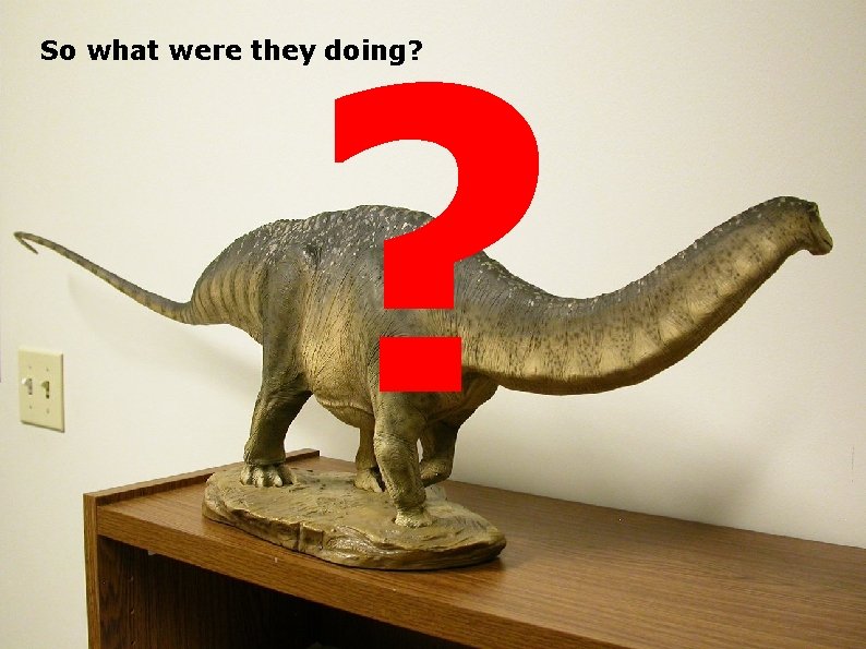 ? So what were they doing? 