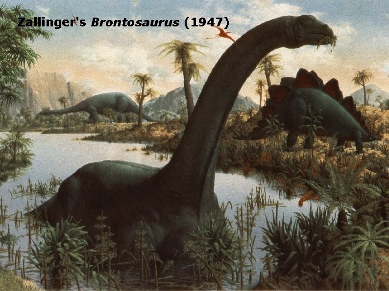 Zallinger's Brontosaurus (1947) 