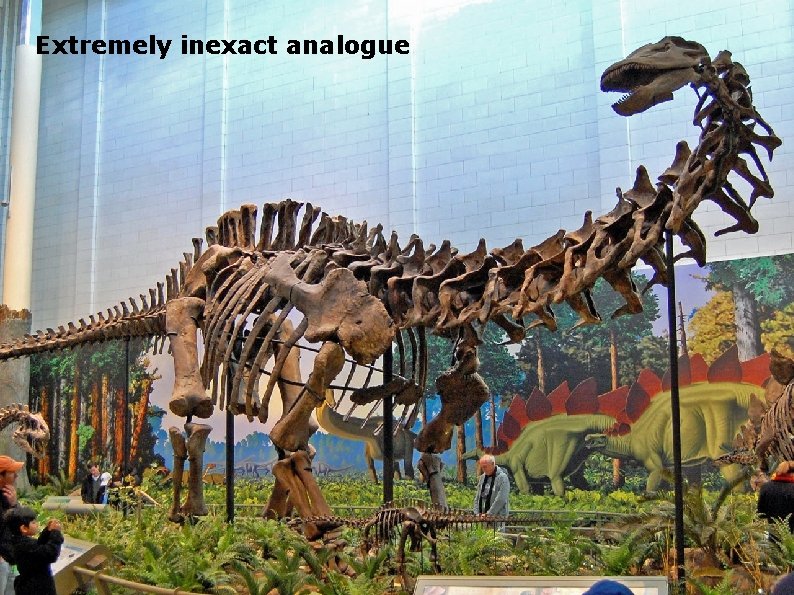 Extremely inexact analogue 