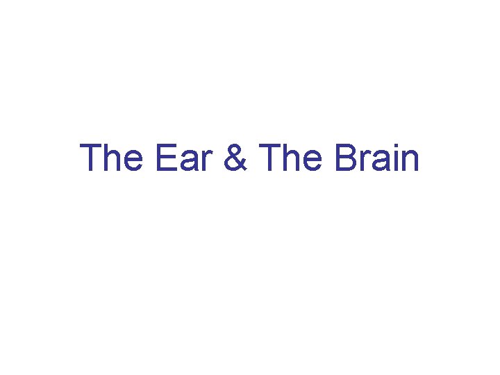 The Ear & The Brain 