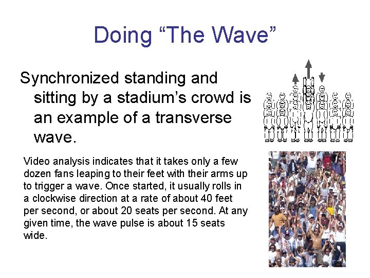 Doing “The Wave” Synchronized standing and sitting by a stadium’s crowd is an example