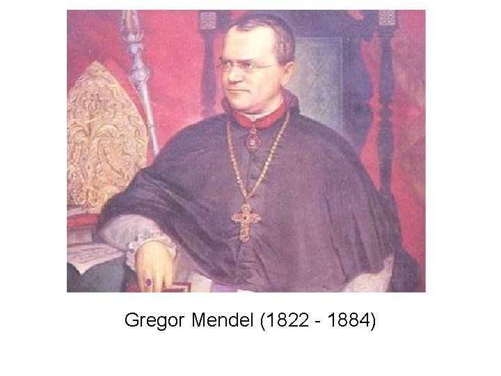Gregor Mendel (1822 - 1884) 