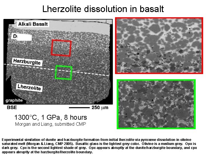 Lherzolite dissolution in basalt 1300°C, 1 GPa, 8 hours Morgan and Liang, submitted CMP