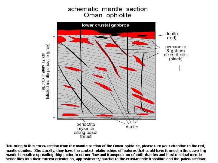 Returning to this cross-section from the mantle section of the Oman ophiolite, please turn