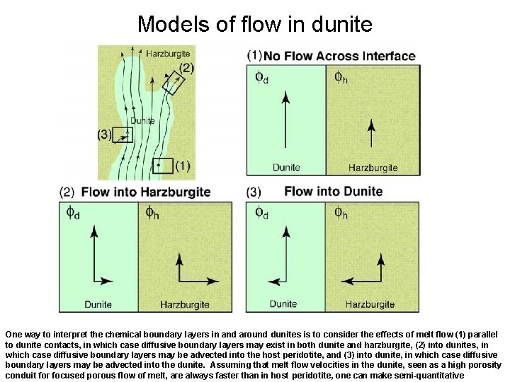 Models of flow in dunite One way to interpret the chemical boundary layers in