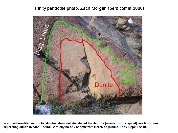 Trinity peridotite photo, Zach Morgan (pers comm 2006) In some lherzolite host rocks, dunites