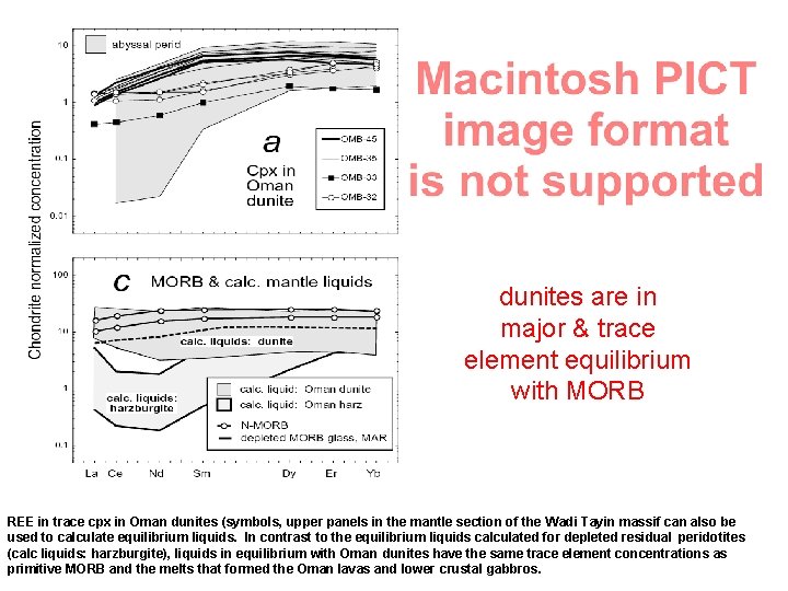 dunites are in major & trace element equilibrium with MORB REE in trace cpx