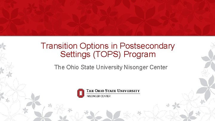 Transition Options in Postsecondary Settings (TOPS) Program The Ohio State University Nisonger Center 