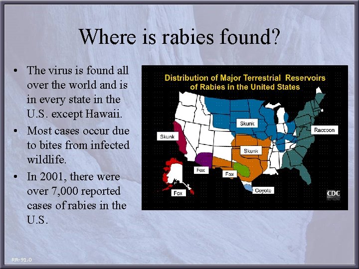 Where is rabies found? • The virus is found all over the world and