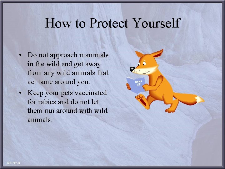 How to Protect Yourself • Do not approach mammals in the wild and get