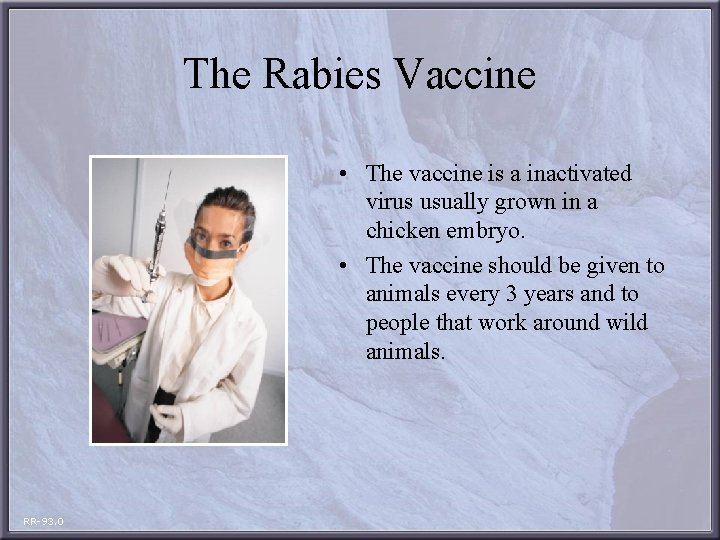 The Rabies Vaccine • The vaccine is a inactivated virus usually grown in a