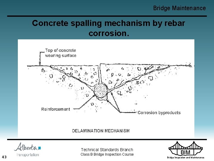 Bridge Maintenance Concrete spalling mechanism by rebar corrosion. Technical Standards Branch 43 Class B