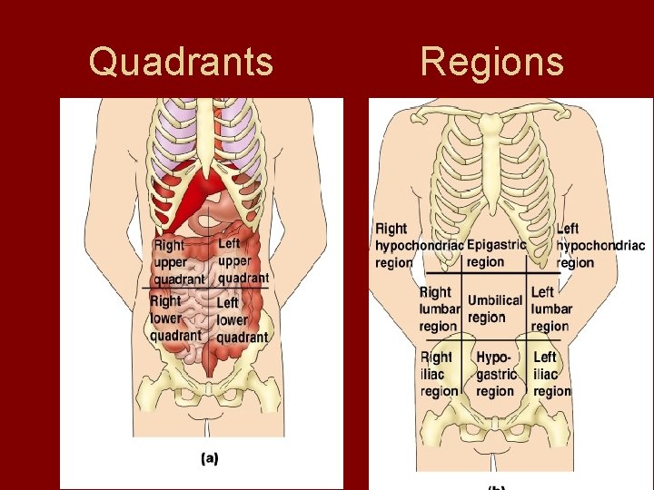 Quadrants Regions  Quadrants Regions