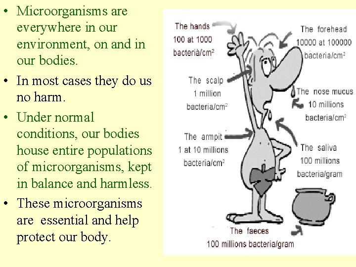  • Microorganisms are everywhere in our environment, on and in our bodies. •