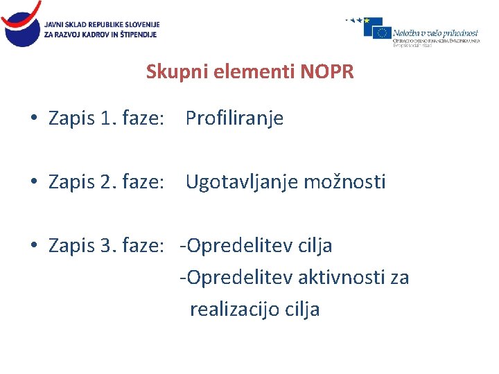 Skupni elementi NOPR • Zapis 1. faze: Profiliranje • Zapis 2. faze: Ugotavljanje možnosti