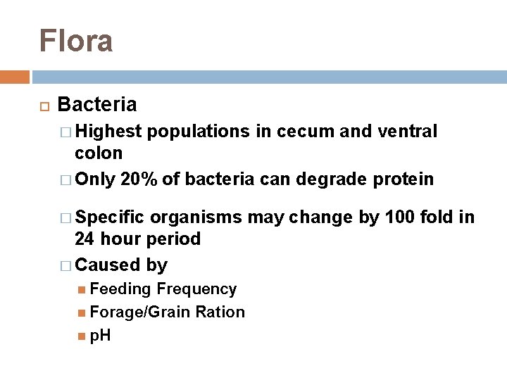 Flora Bacteria � Highest populations in cecum and ventral colon � Only 20% of