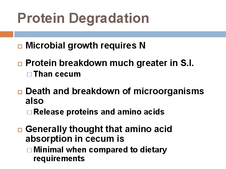 Protein Degradation Microbial growth requires N Protein breakdown much greater in S. I. �