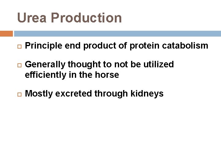 Urea Production Principle end product of protein catabolism Generally thought to not be utilized