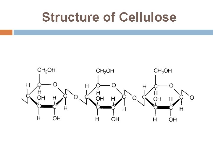 Structure of Cellulose 