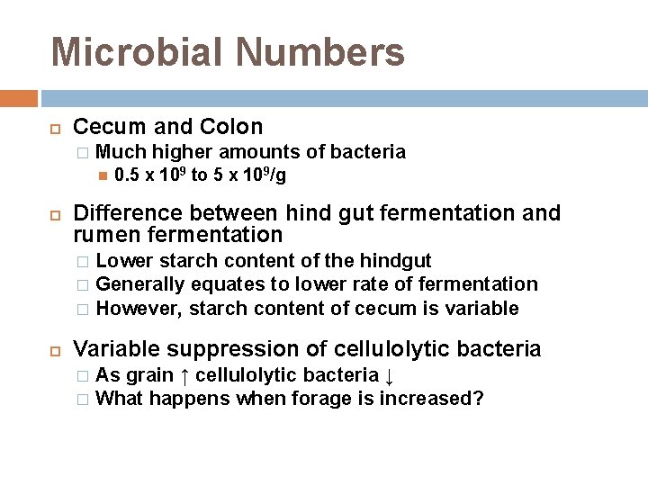 Microbial Numbers Cecum and Colon � Much higher amounts of bacteria 0. 5 x