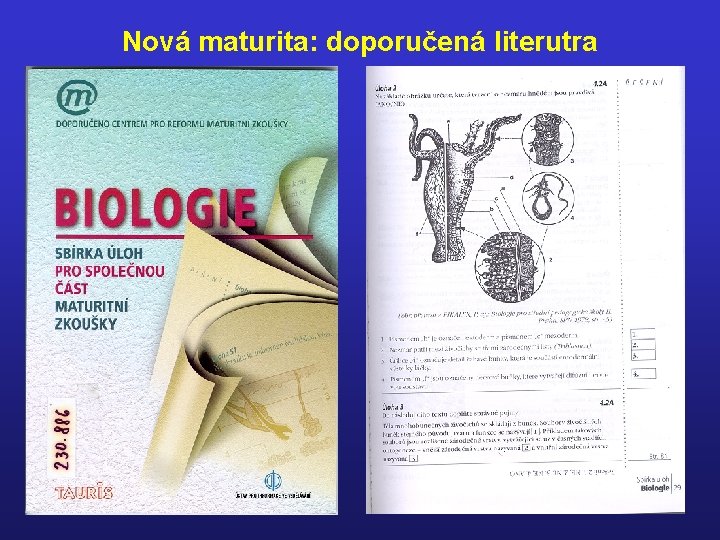 Nová maturita: doporučená literutra 