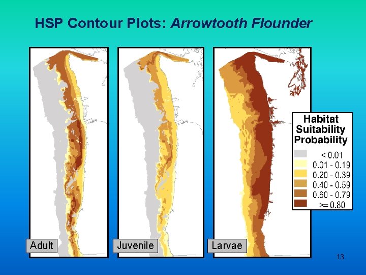 HSP Contour Plots: Arrowtooth Flounder Adult Juvenile Larvae 13 