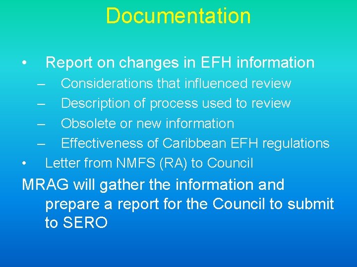 Documentation • Report on changes in EFH information – – • Considerations that influenced