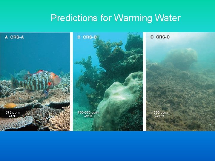 Predictions for Warming Water 