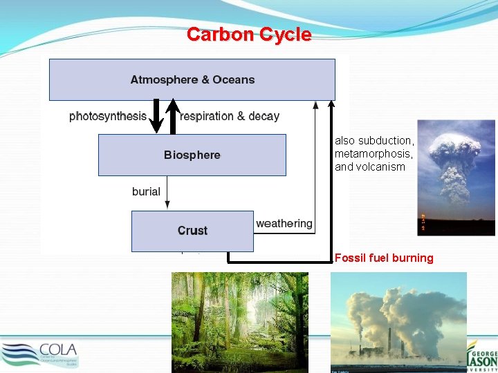 Carbon Cycle also subduction, metamorphosis, and volcanism Fossil fuel burning 