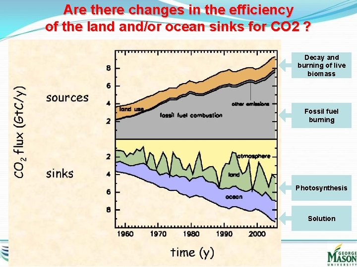 Are there changes in the efficiency of the land and/or ocean sinks for CO