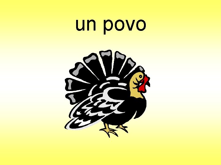 un povo 