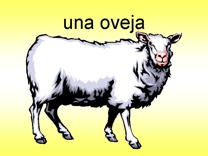 una oveja 