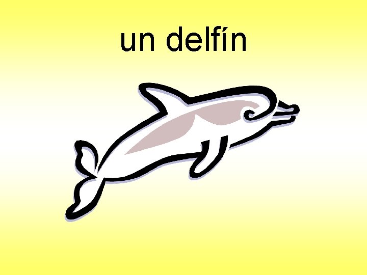 un delfín 