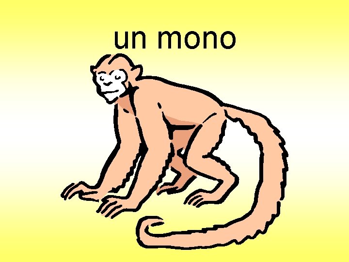 un mono 