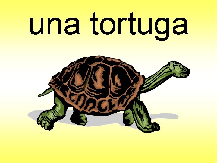 una tortuga 